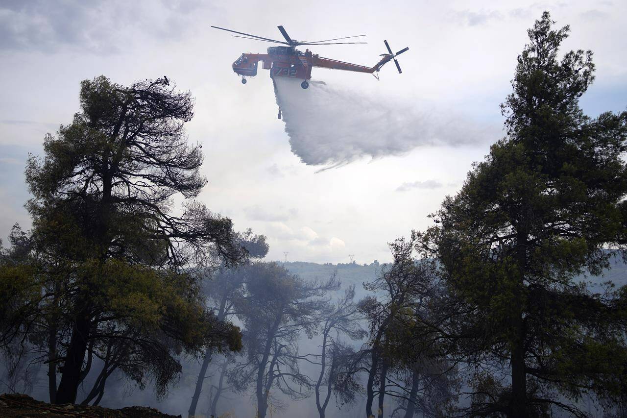 A helicopter drops water over a woodland during a wildfire in the suburb of Stamata, in northern Athens, Greece, Monday, Sept. 4, 2023. Wildfires are common in Greece and other southern European countries during their hot, dry summers as dozens of fires have been breaking out each day across the country for weeks. (AP Photo/Thanassis Stavrakis)