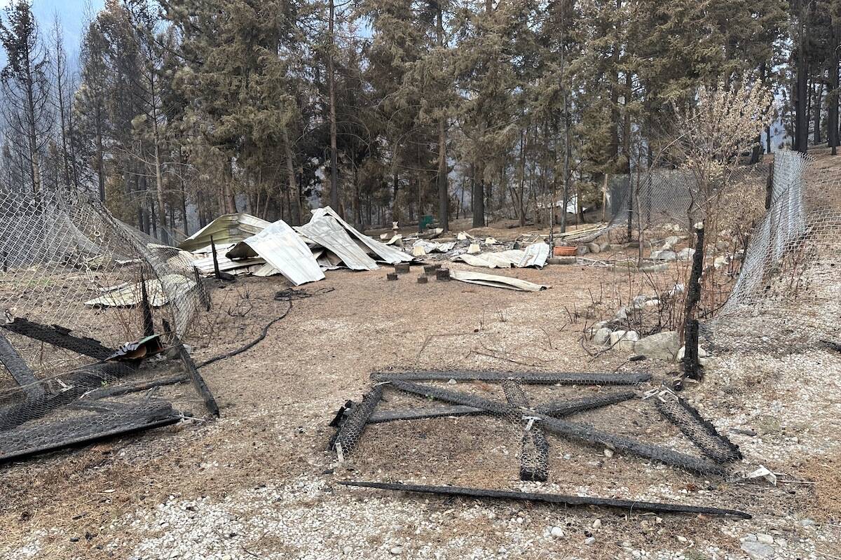 What is left of the garden and chicken coop at a property on Bear Creek Road, West Kelowna after the McDougall Creek Wildfire swept through the area. (Brittany Webster/Capital News)