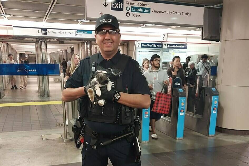 Const. Jazz Nijjar of Metro Vancouver Transit Police holds a rabbit named “Mercedes Sprinter” after it was caught running loose at downtown Vancouver’s SkyTrain transit station in this Aug. 31, 2023 handout photo. The transit police reunited the support rabbit with her owner who says the bunny jumped the tracks as she was boarding a train. THE CANADIAN PRESS/HO, Metro Vancouver Transit Police