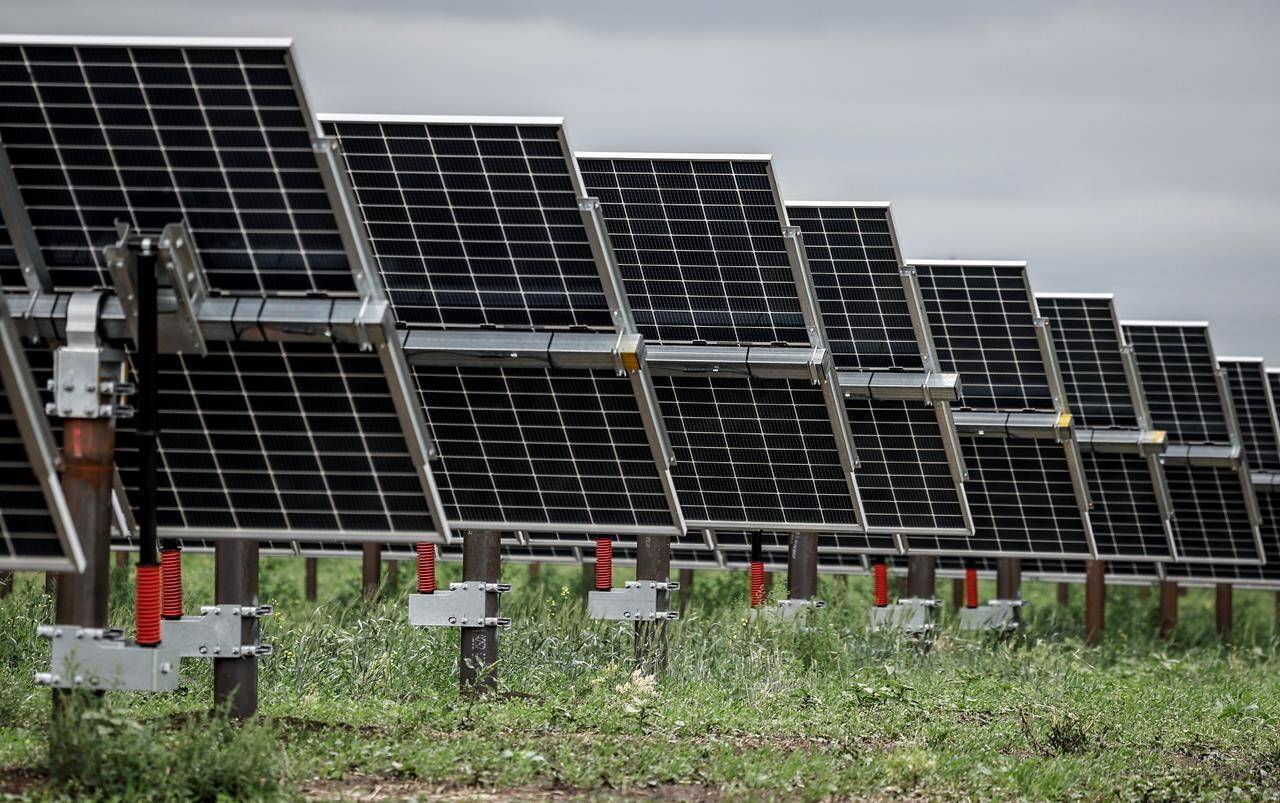 An industry group says Alberta’s decision to pause approvals of new renewable energy projects is putting the lives of thousands of workers on hold. Solar panels pictured at the Michichi Solar project near Drumheller, Alta., Tuesday, July 11, 2023. THE CANADIAN PRESS/Jeff McIntosh