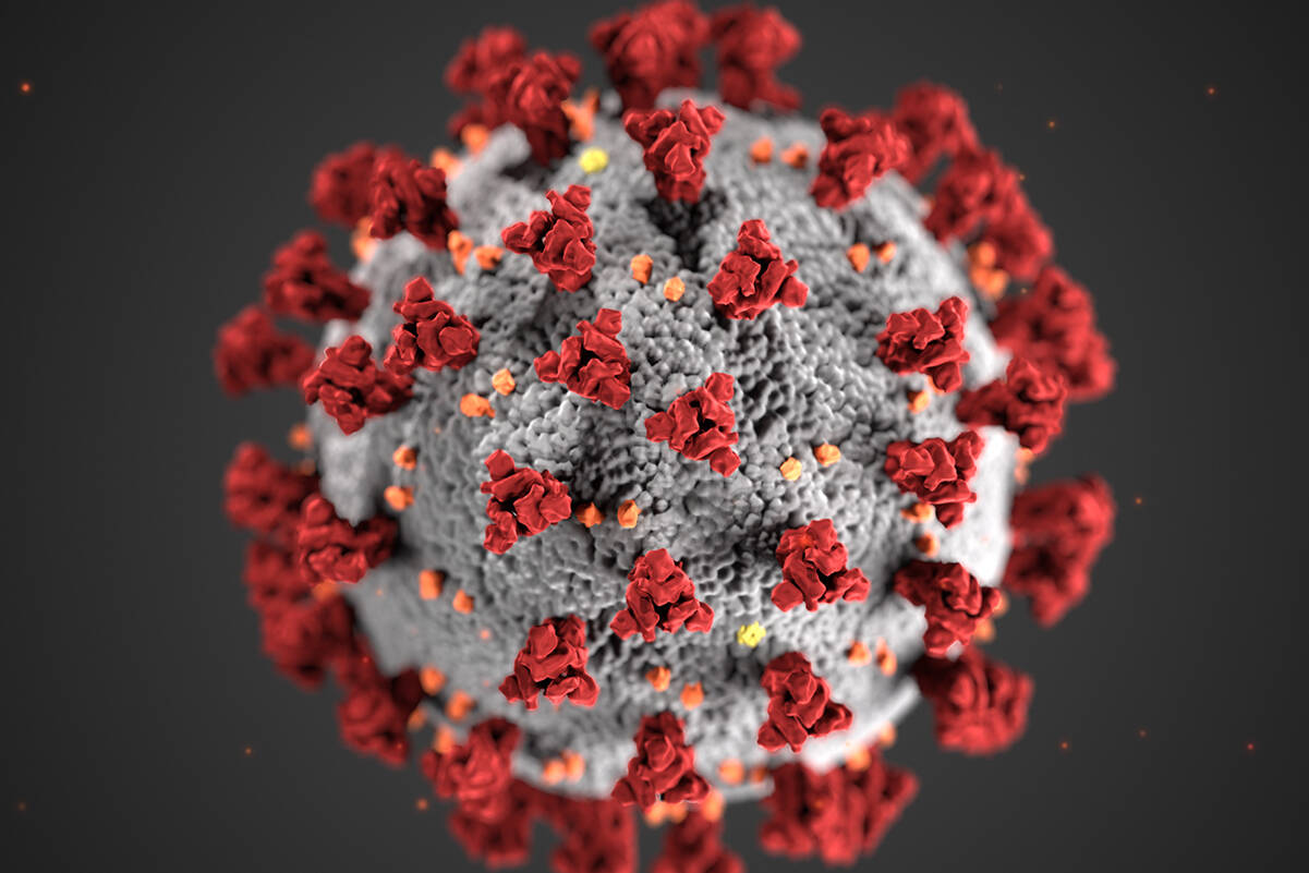 COVID-19 virus (Black Press file photo).