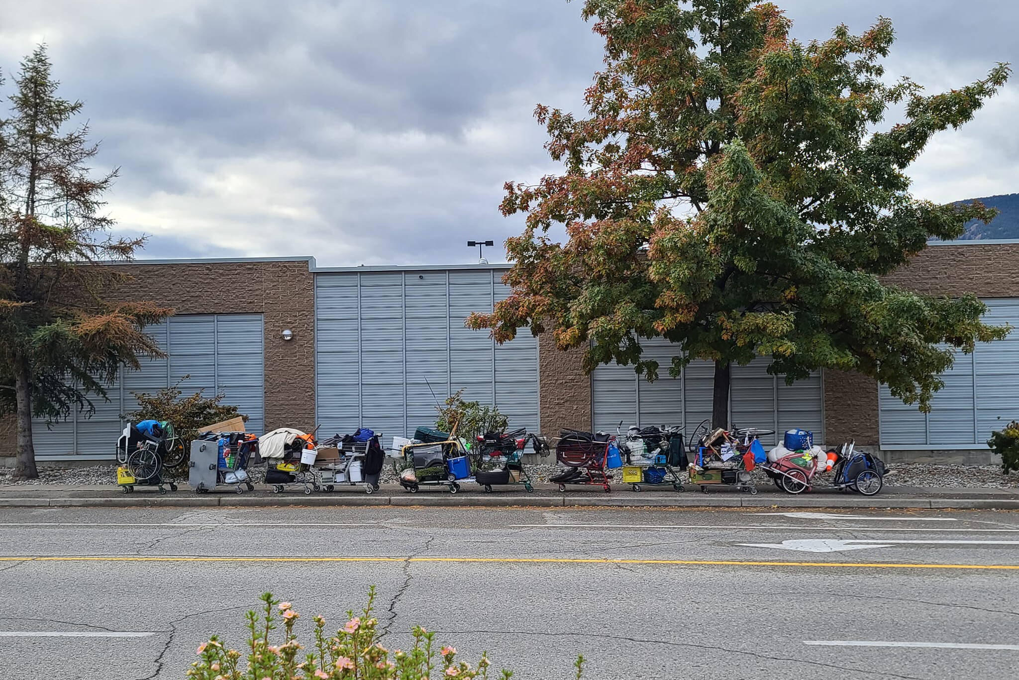 This long train of shopping carts is a regular sight around Penticton. (Facebook)