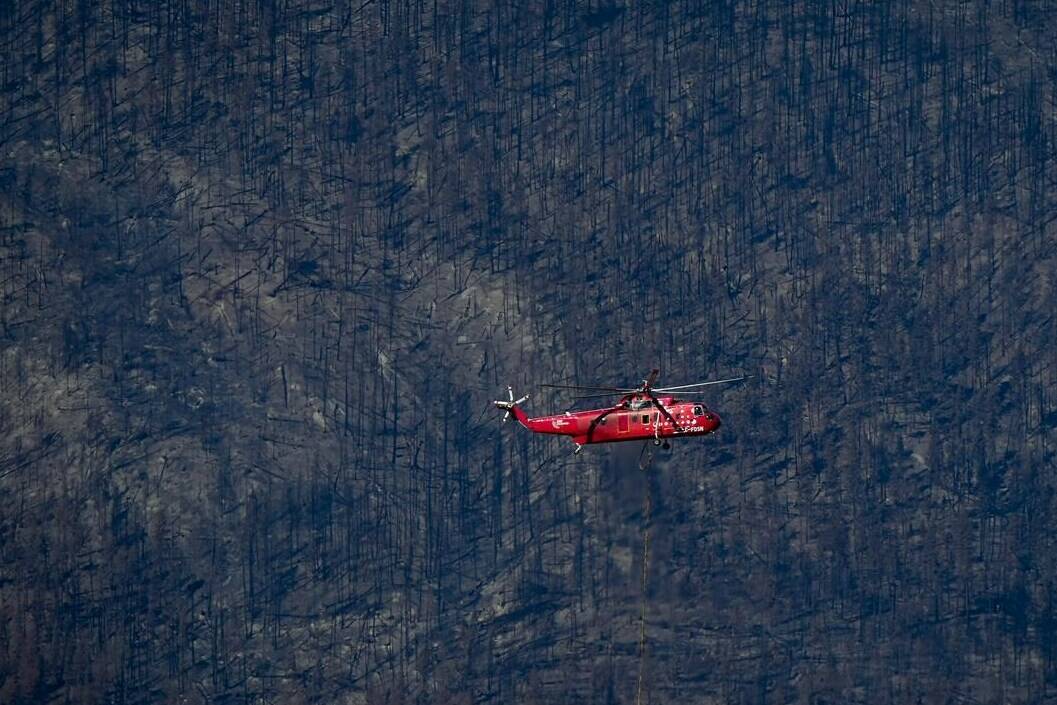 A helicopter being used to battle hot spots near Sorrento lands in Squilax, B.C., Wednesday, Sept. 6, 2023, as trees burned by the Bush Creek East wildfire are seen on a mountainside. The onset of large, severe wildfires that threaten communities year after year has occurred earlier in British Columbia than previous research projected, and experts say the record-shattering 2023 season must serve as a springboard for action. THE CANADIAN PRESS/Darryl Dyck