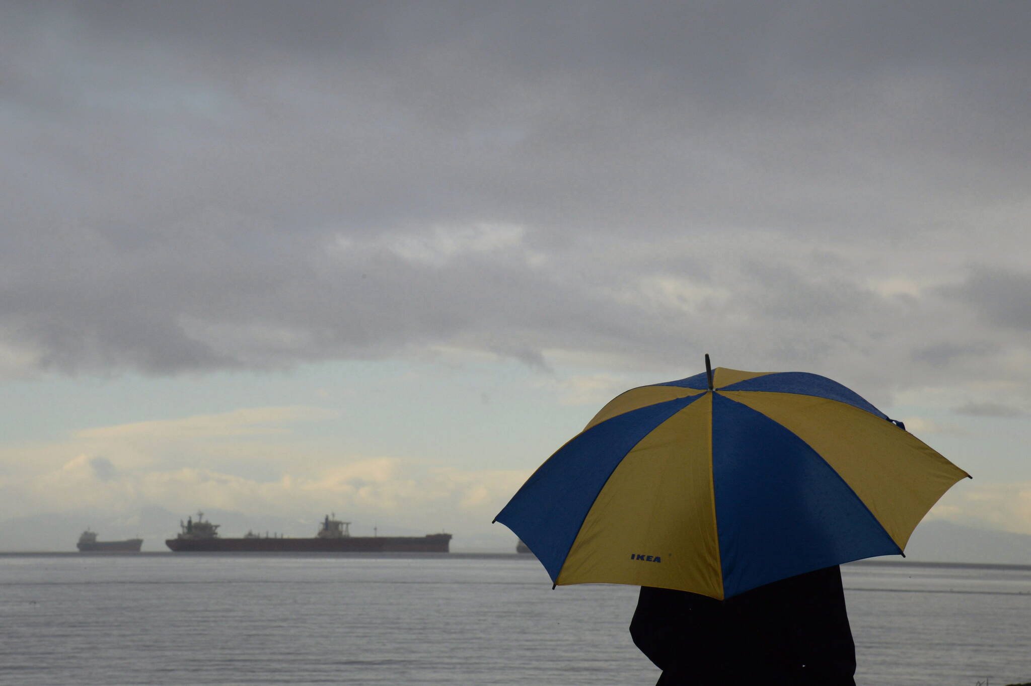 A person walks along the boardwalk under an umbrella during a rainy day in West Vancouver, Tuesday, Dec.27, 2016. THE CANADIAN PRESS/Jonathan Hayward