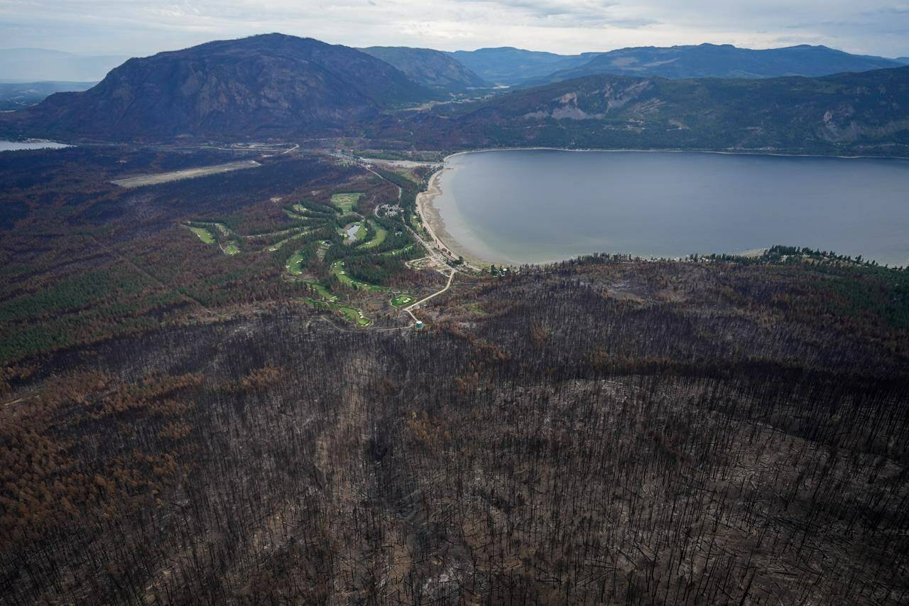 As British Columbia awaits the latest update due later today on fire, drought and flood conditions, residents in an area south of Kamloops can relax as all evacuation orders and alerts related to a nearby fire have ended. Trees burned by the Bush Creek East Wildfire are seen above Little Shuswap Lake in Squilax, B.C., Monday, Sept. 11, 2023. THE CANADIAN PRESS/Darryl Dyck