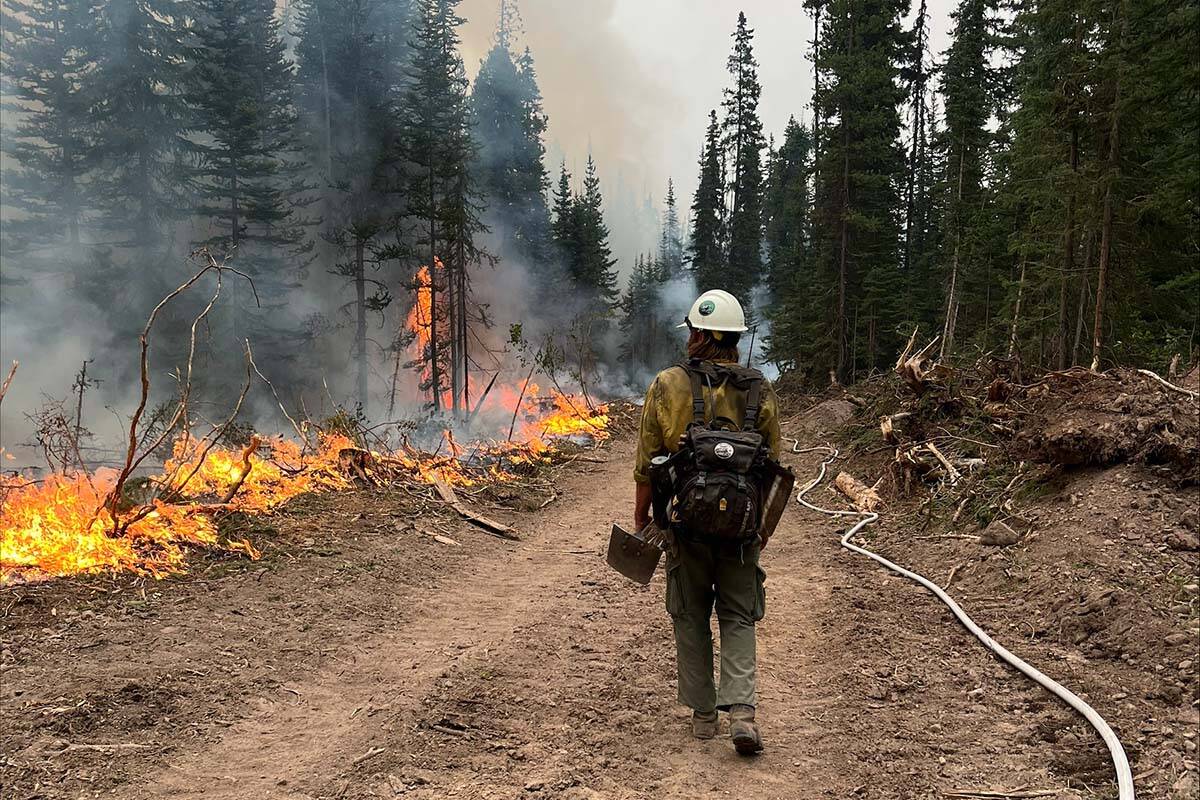 A firefighter works on the Peacock Creek wildfire, south of Smithers, B.C. The fire is 1,444 hectares in size and burning out of control as of Sept. 13. (Credit: BC Wildfire Service)