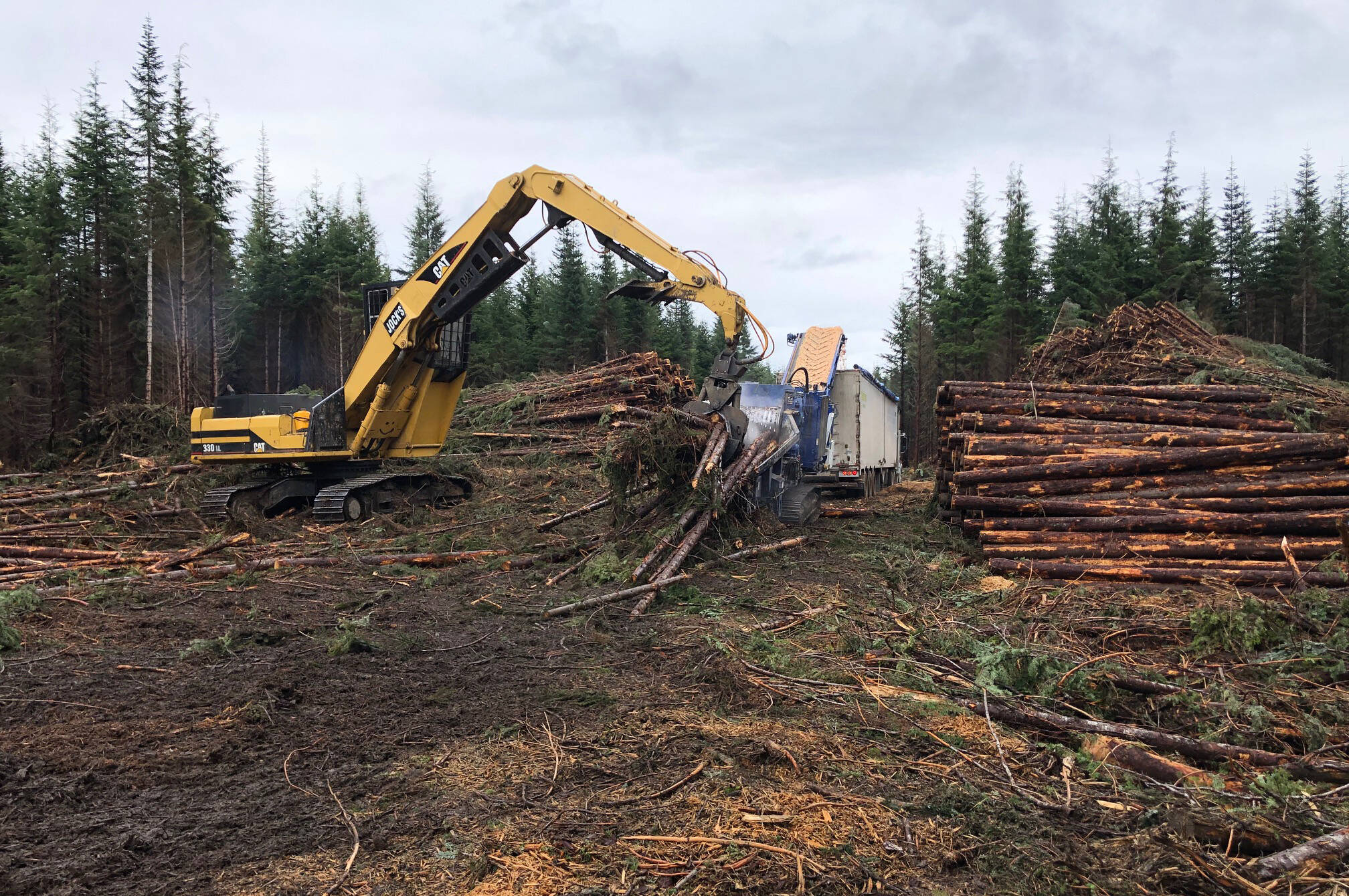 Skeena Sawmills in 2019. Skeena Sawmills now stands idle, a stark symbol of the company’s escalating financial challenges that have led to bankruptcy petitions and mounting debts. (Black Press Media file photo)
