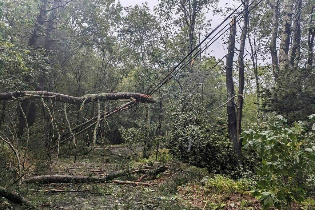 Residents of western Nova Scotia and southern New Brunswick are being warned to prepare for power outages and localized flooding as hurricane Lee is expected to transition to a powerful post-tropical storm on Saturday as it makes landfall in the region. This photo provided by Austin Rebello shows fallen trees from a storm that passed on Wednesday, Sept. 13, 2023 in Killingly, Conn. THE CANADIAN PRESS/AP-HO, Austin Rebello