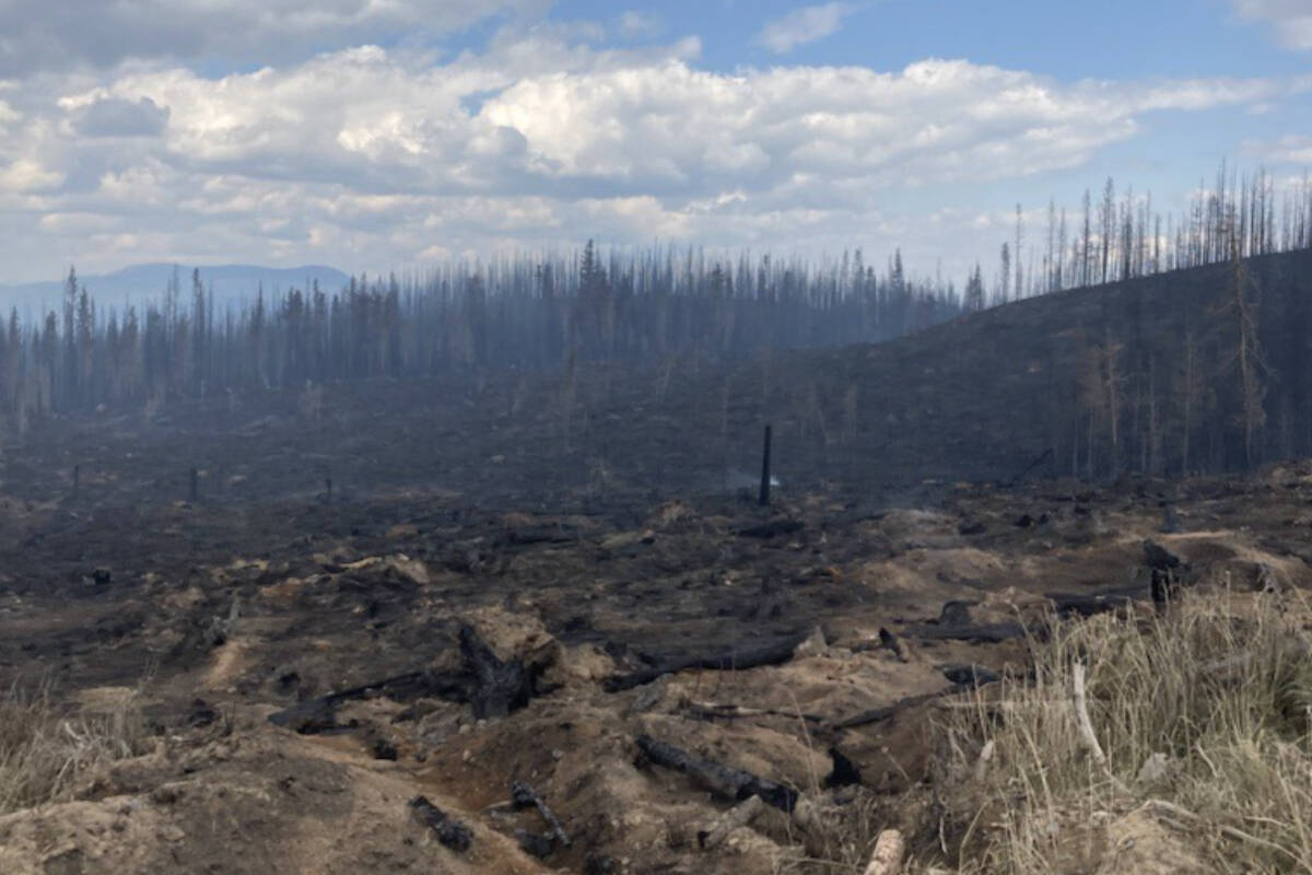 The Bush Creek East wildfire in the Shuswap. (BC Wildfire Service)