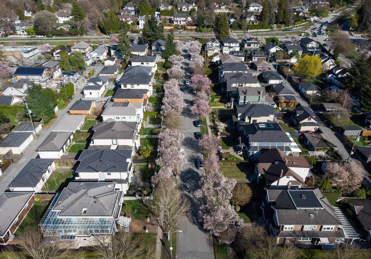 Vancouver Mayor Ken Sim says the city has taken a "huge step" toward "housing attainability" by approving multiplex units in single-family neighbourhoods, but critics of the plan argue the step is little more than a shuffle. Cherry trees line a residential street in Vancouver, on Tuesday, April 4, 2023. THE CANADIAN PRESS/Darryl Dyck