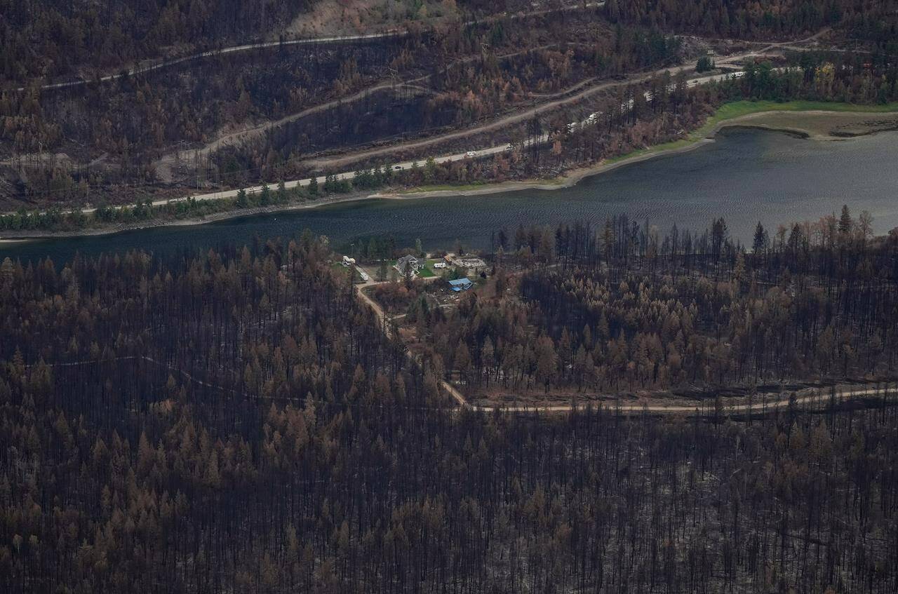 Trees burned by the Bush Creek East Wildfire surround two houses that survived the fire and the remains of another that burned, in Squilax, B.C., Monday, Sept. 11, 2023. The triple threats of wildfires, opioids and housing needs facing British Columbia are the focus of a weeklong gathering of elected municipal and provincial leaders in Vancouver at the annual Union of B.C. Municipalities convention.THE CANADIAN PRESS/Darryl Dyck