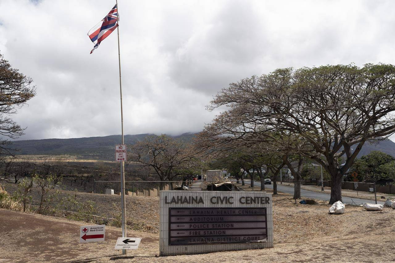 Lahaina Civic Center is pictured, Sunday, Sept. 24, 2023, in Lahaina, Hawaii. Lahaina residents of Zone 1C are allowed to pick up reentry passes at Lahaina Civic Center, following the deadly Maui wildfire. (AP Photo/Mengshin Lin)