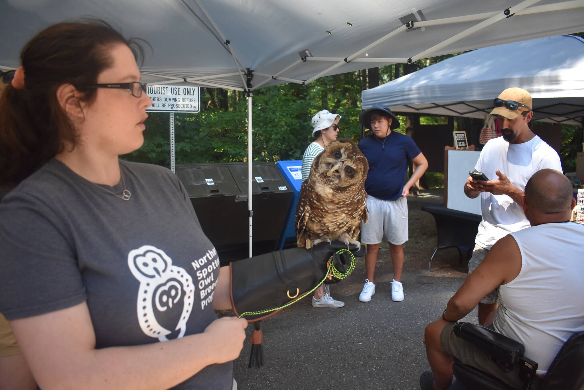 Small Eyes, an animal ambassador, is one of the Northern Spotted Owls that is part of the breeding program in Langley. As of July 25, three owls — two males and one female — are living in the wild in Fraser Canyon/Spuzzum First Nation territory. (Kemone Moodley/Hope Standard)