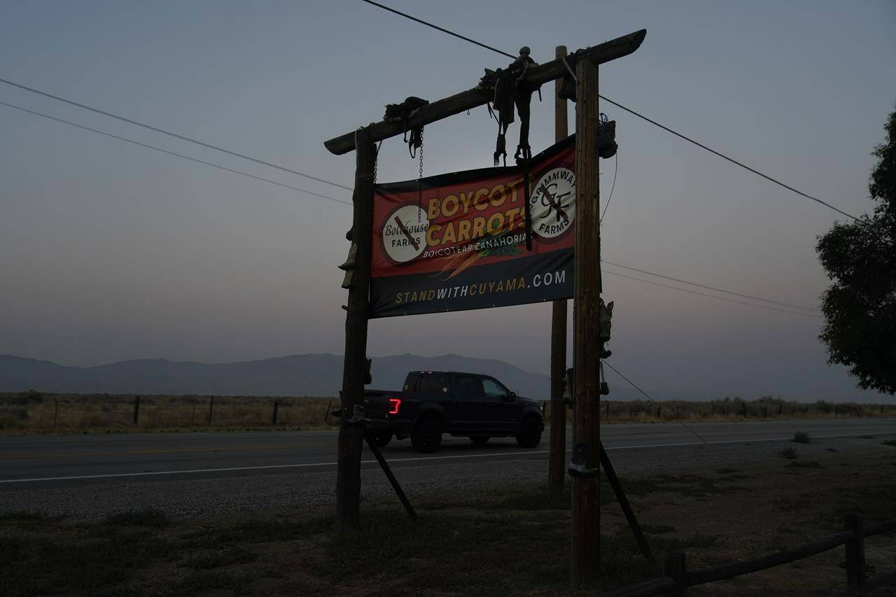 A sign calling for the boycott of carrots stands outside the Cuyama Buckhorn restaurant and hotel, Wednesday, Sept. 20, 2023, in New Cuyama, Calif. (AP Photo/Marcio Jose Sanchez)