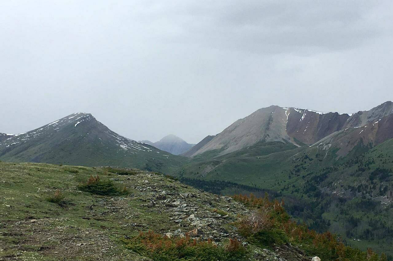 Divide Pass in the backcountry of Banff National Park is shown on July 3, 2019. A grizzly bear attack in the backcountry of the national park on Friday left two people and their dog dead. THE CANADIAN PRESS/Colette Derworiz