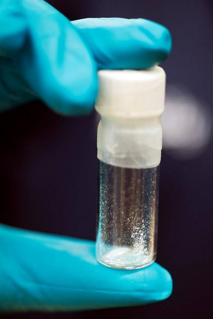 FILE - A vial containing 2mg of fentanyl, which will kill a human if ingested into the body, is displayed at the Drug Enforcement Administration (DEA) Special Testing and Research Laboratory in Sterling, Va., on Aug. 9, 2016. Nearly a dozen children, including a 1 year old, have overdosed on fentanyl since June in Portland, Oregon, its police bureau said Thursday, Sept. 28, 2023, intensifying alarm in a city like so many others that has struggled to address its drug crisis. (AP Photo/Cliff Owen, File)