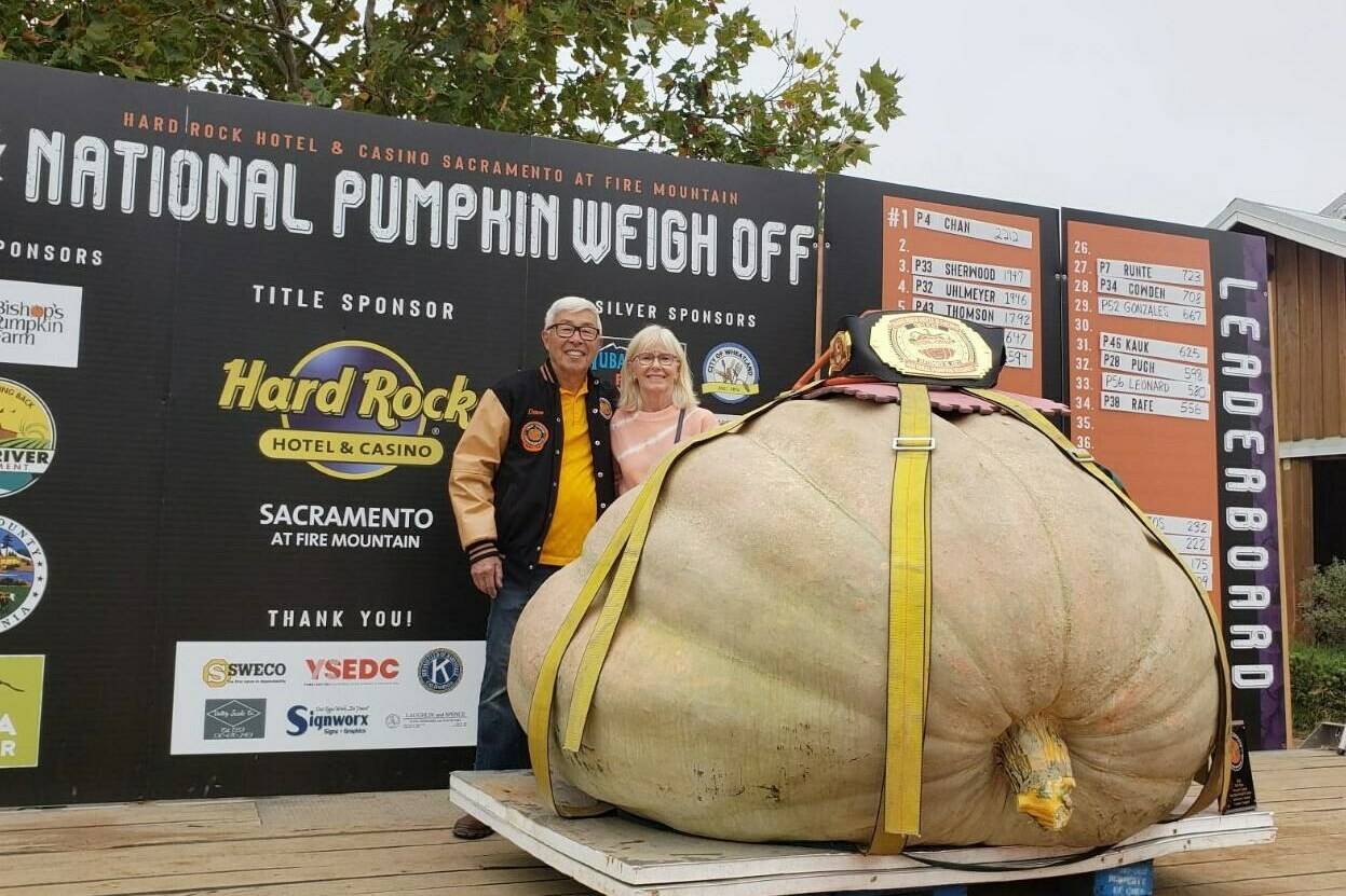 British Columbia couple Dave Chan and Janet Love pose with “Mama,” their 2,212-pound pumpkin that won the National Pumpkin Weigh Off in Wheatland, Calif., on Sept. 30, 2023. THE CANADIAN PRESS/HO