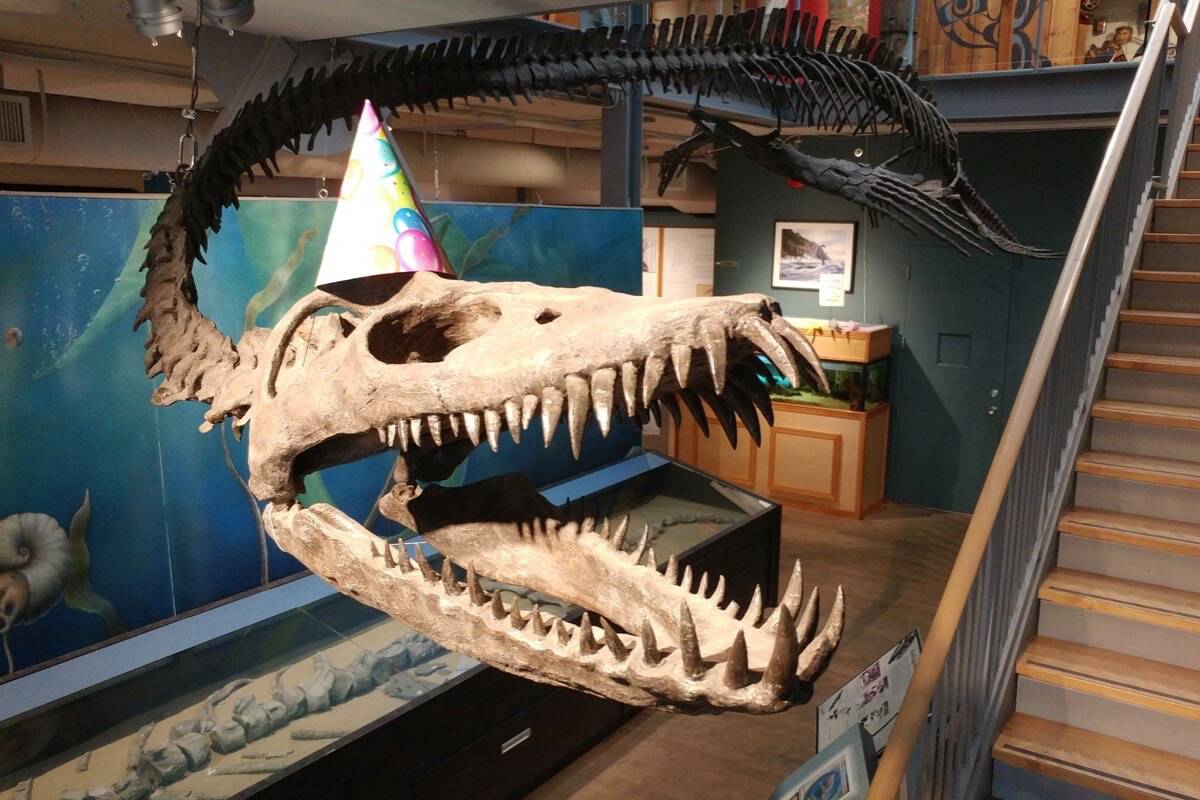 Elasmosaur is one step closer to becoming B.C.’s fossil emblem after Tourism Minister Lana Popham tabled legislation Wednesday (Oct. 4). (Photo Submitted)