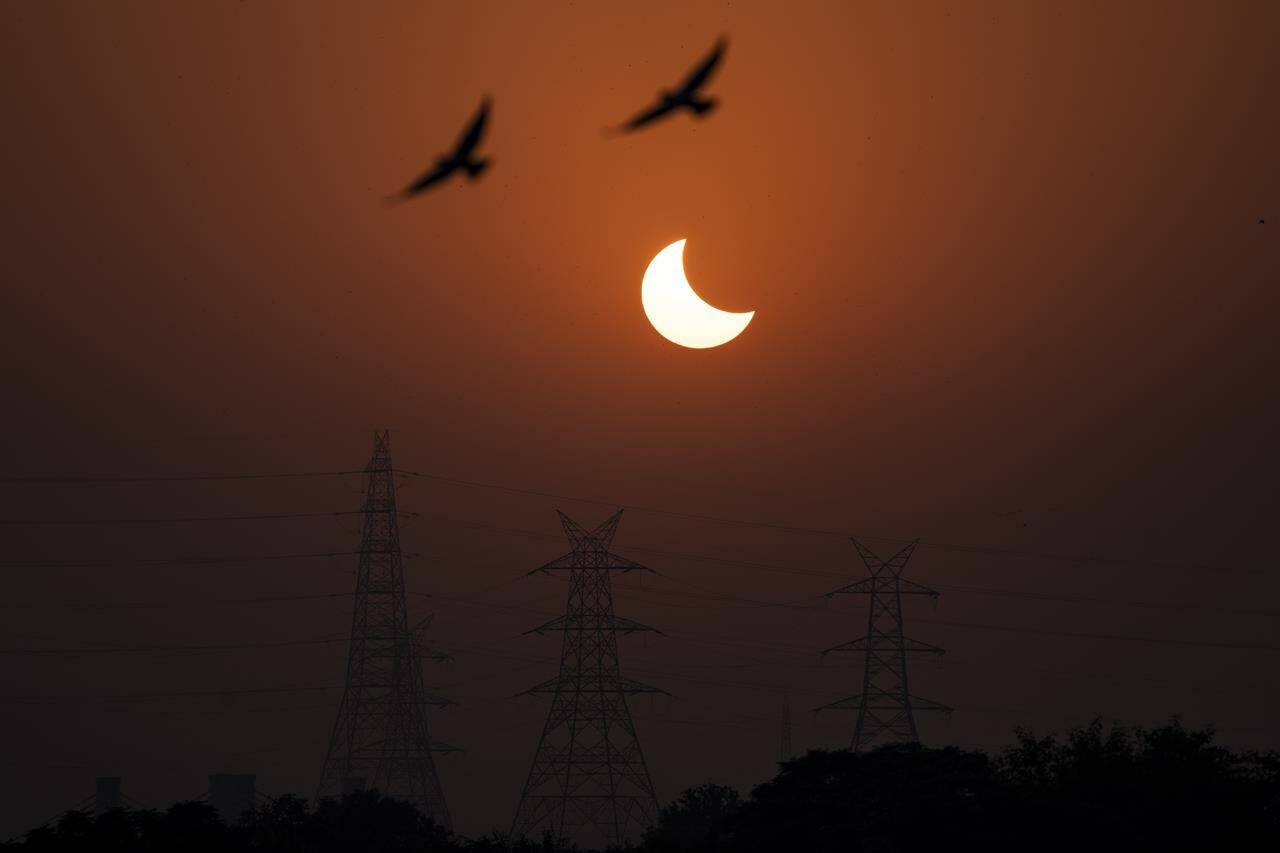Western British Columbia will be the best place in Canada to view a rare annular solar eclipse set to happen Saturday, but cloudy skies could obscure the phenomenon for viewers on the south coast. Eagles fly past a partial solar eclipse in New Delhi, India, Tuesday, Oct. 25, 2022. THE CANADIAN PRESS/AP/Altaf Qadri