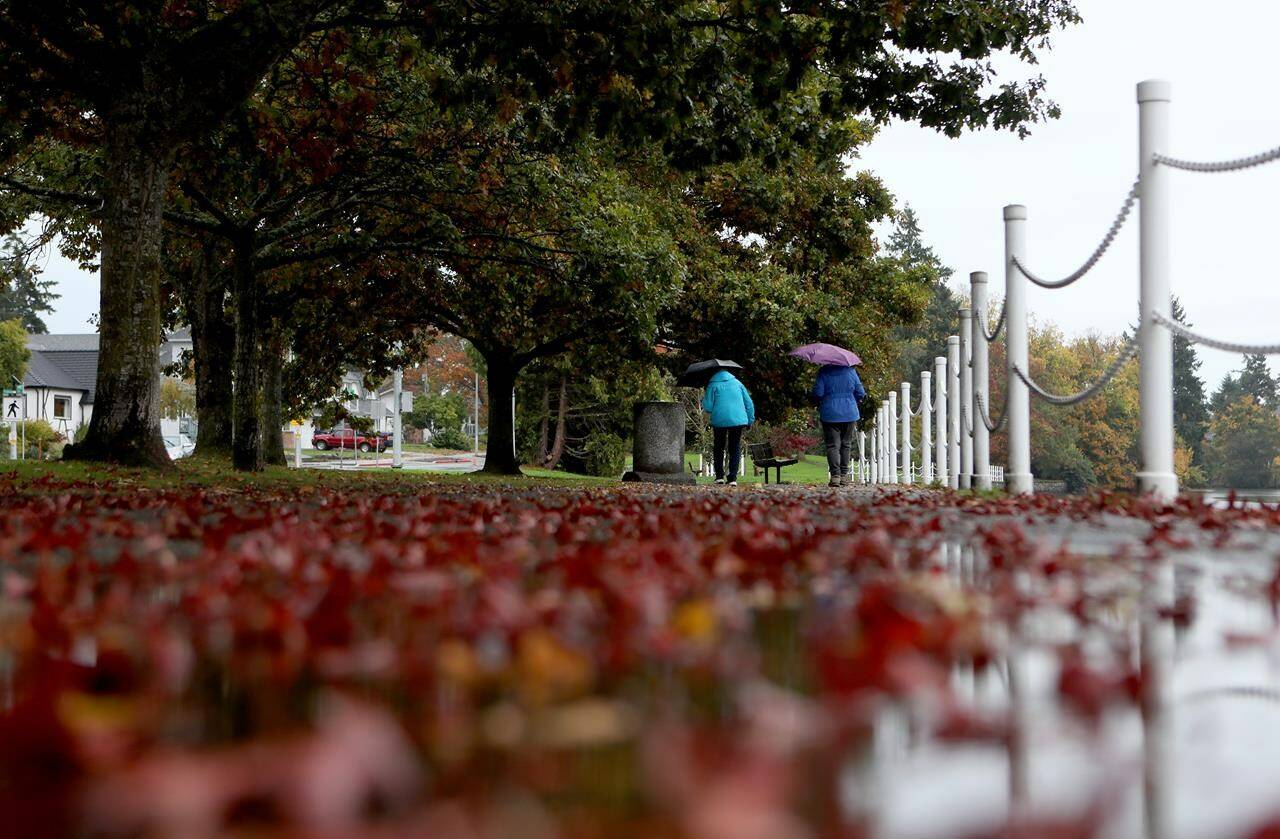 People walk along Gorge Rd. during rainshowers in Victoria, Monday, Oct. 16, 2023. British Columbia’s south coast is weathering its first atmospheric river of the fall and the province’s Ministry of Emergency Management and Climate Readiness says residents should prepare for increased rainfall and the chance of flooding.THE CANADIAN PRESS/Chad Hipolito