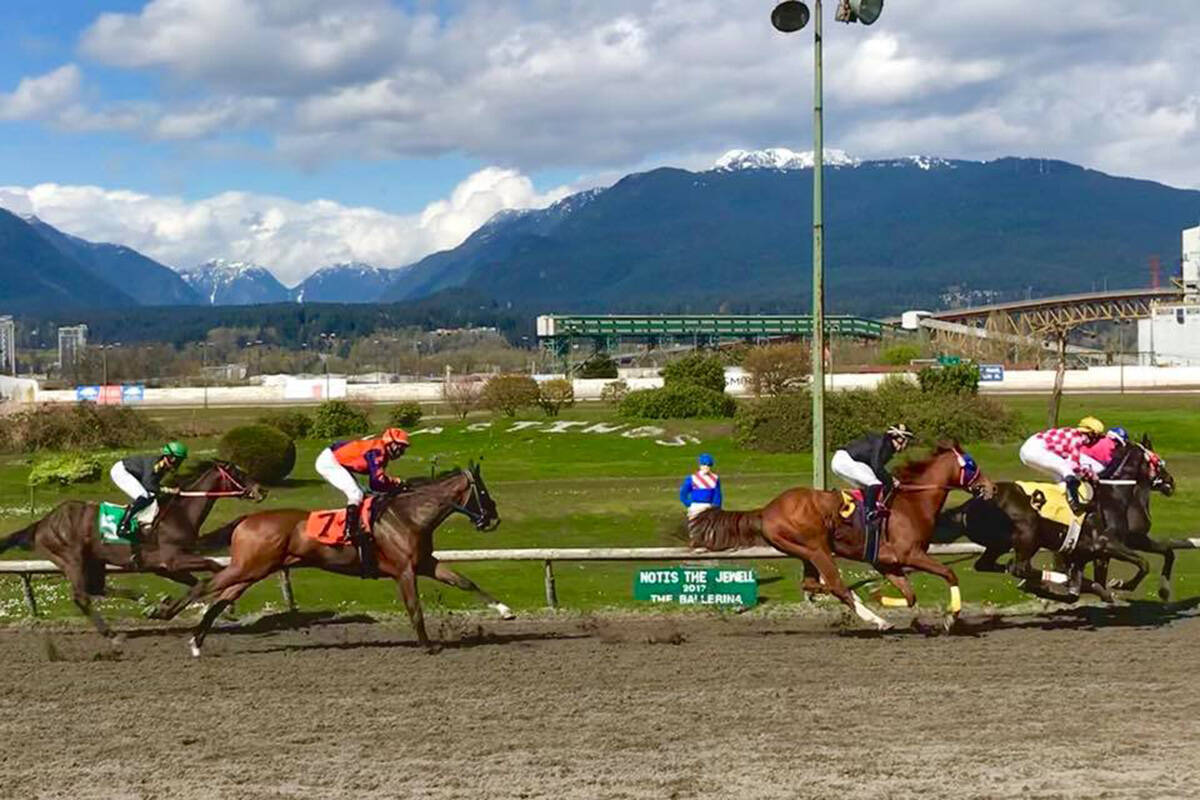 Two more horses died at Vancouver’s Hastings racecourse this season, with one breaking down during a race and the other suffering blunt-force trauma after crashing into a wall. (Facebook)