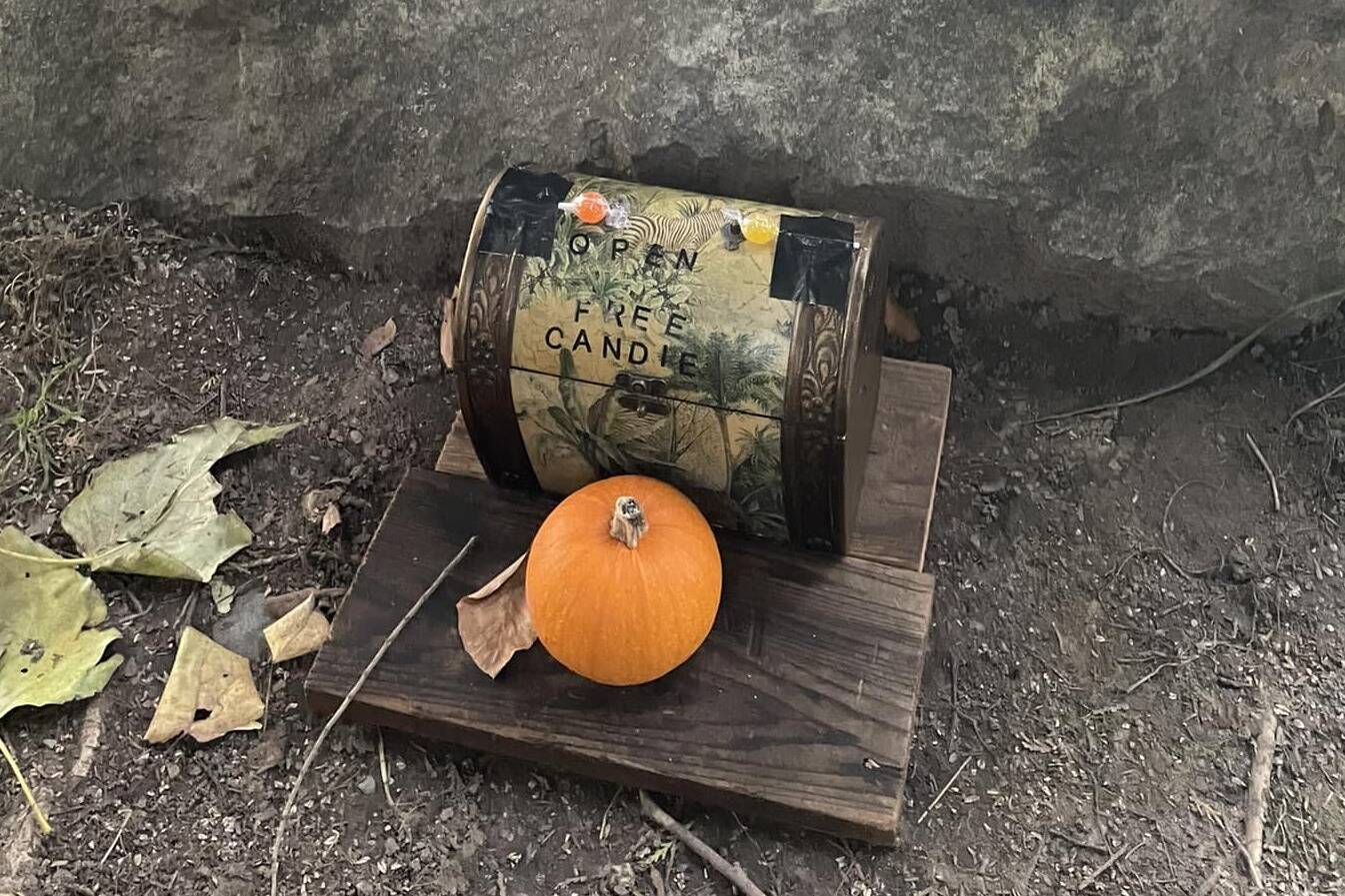 A box marked “Open: free candie” was found on the Mountain View Community Trail, raising some concerns from Agassiz area residents. (Photo/Andra Hachey)