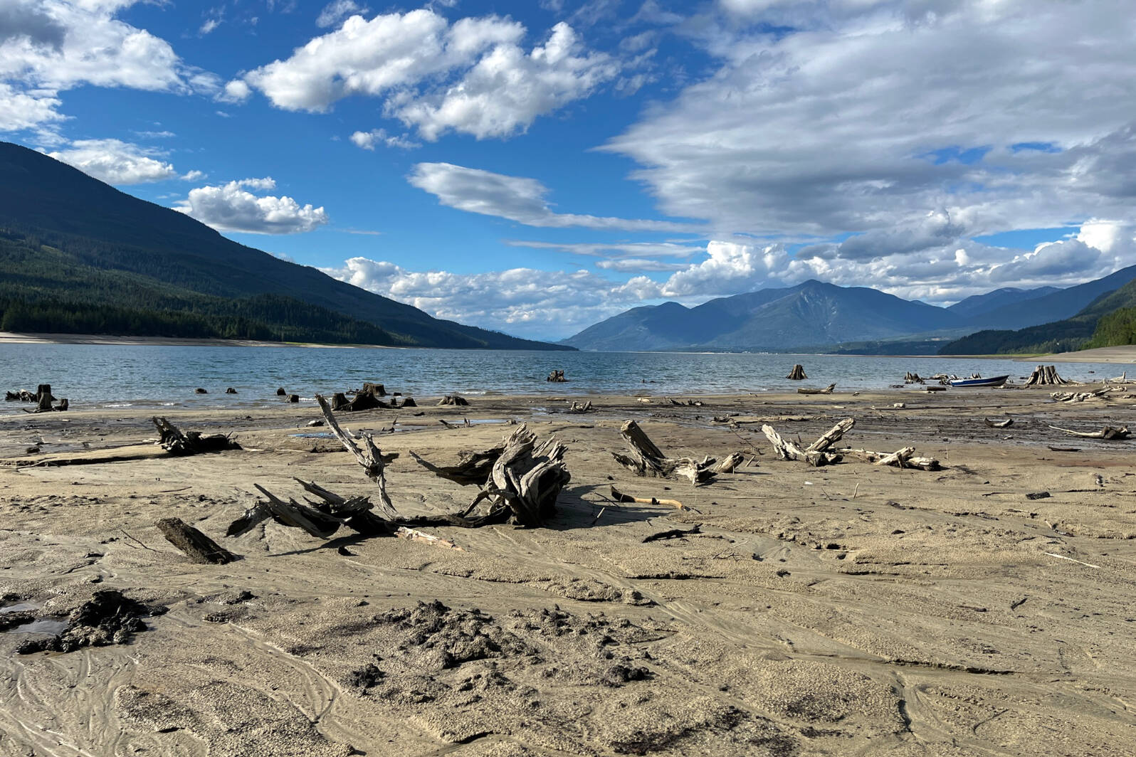 Stumps from the time of the creation of the Arrow Lakes Reservoir in 1968 are visible at the McDonald Creek Provincial Park beach. Photo: Betsy Kline