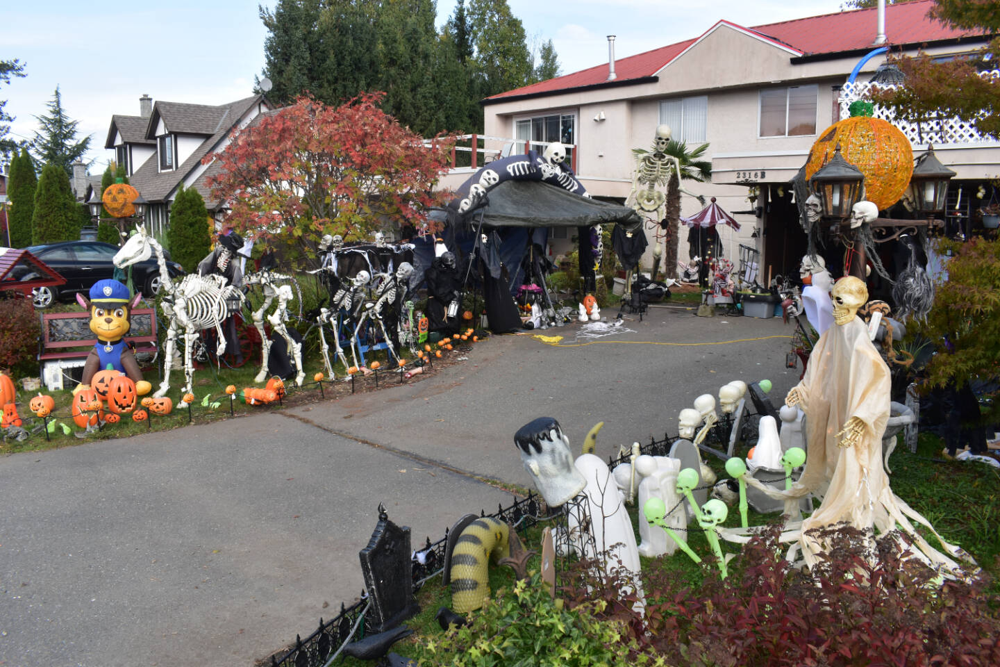 Barb Langhorn’s yard at 2316B Willemar Ave. in Courtenay is the ultimate tribute to Halloween. Photo by Terry Farrell