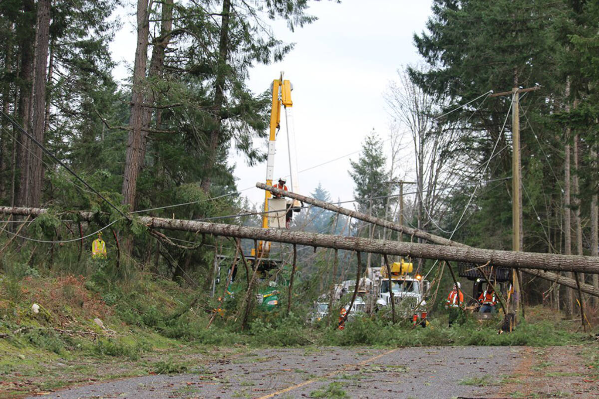 BC Hydro says this summer’s dry weather and wildfires could lead to more power outages this storm season. (BC Hydro)