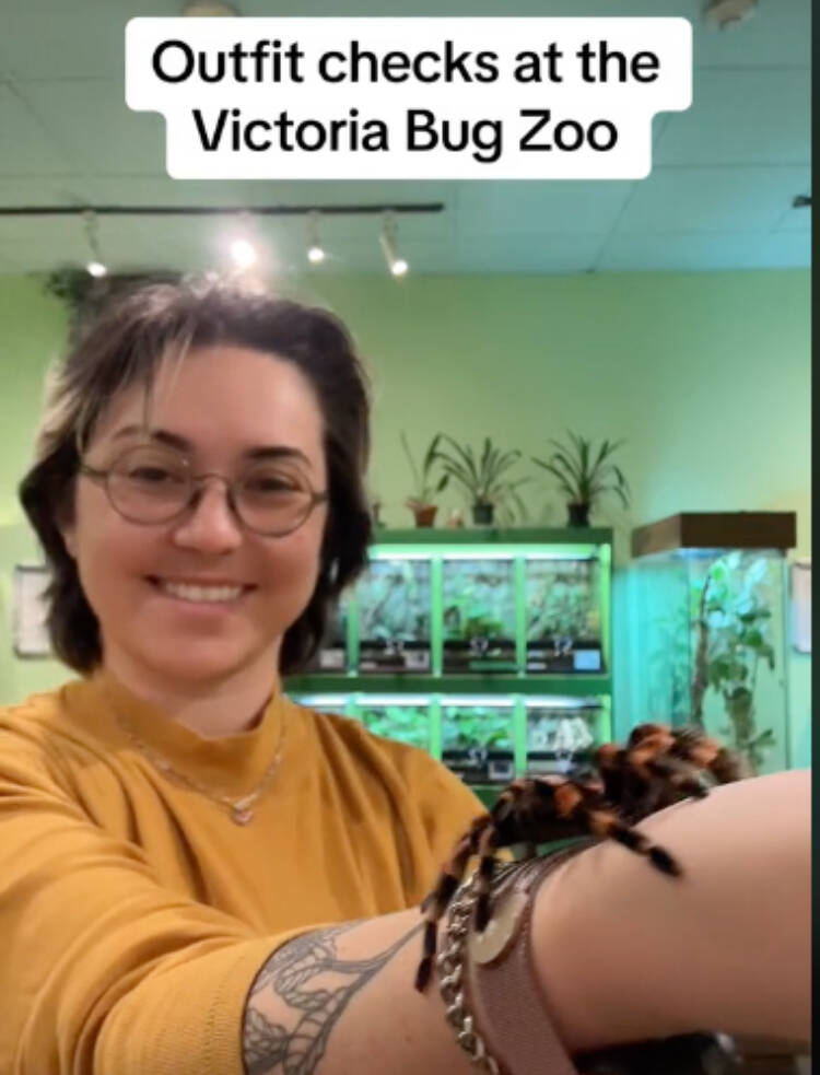 Karlee Friesen brings all the bugs to the social media spotlight, to educate, inform and have a little fun along the way. (The Victoria Bug Zoo/TikTok)