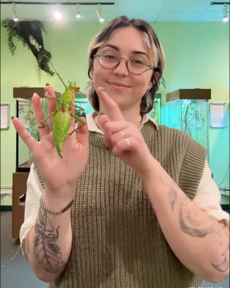 Karlee Friesen brings all the bugs to the social media spotlight, to educate, inform and have a little fun along the way. (The Victoria Bug Zoo/TikTok)