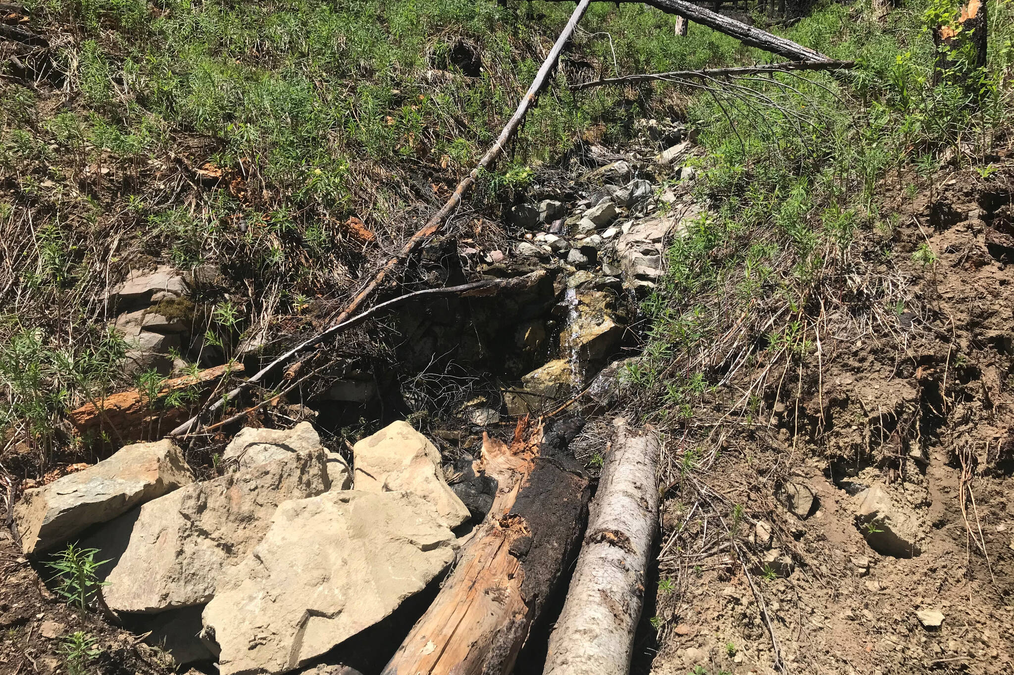 The damage left behind by a water diversion that was done without authorization by the Ministry of Forests in the South Okanagan Grassland Protected Area. (Contributed - Jesse Zeman, BC Wildlife Federation)