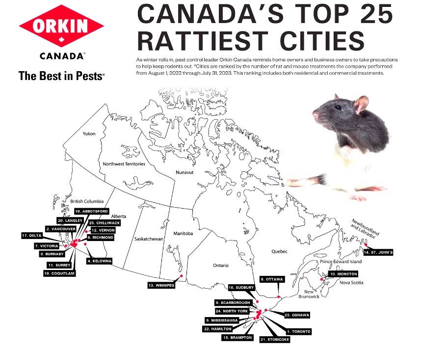 Chilliwack ranked least ratty city in Canada in 2023 list. (Orkin Canada)