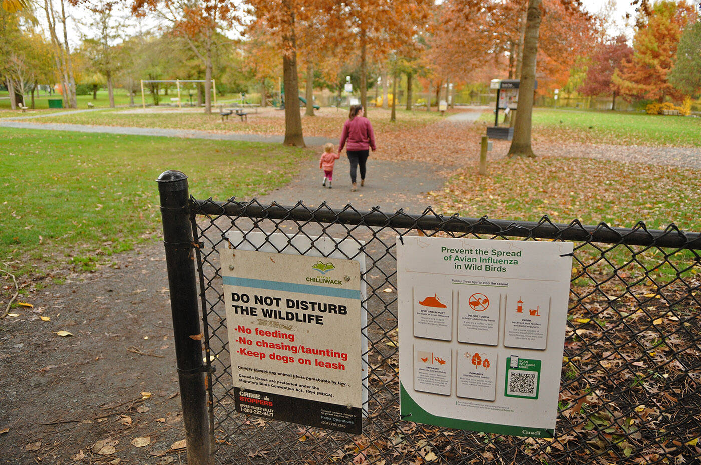 Signage for avian influenza is seen at the entrance to Sardis Park in Chilliwack on Wednesday, Nov. 8, 2023. (Jenna Hauck/Chilliwack Progress)
