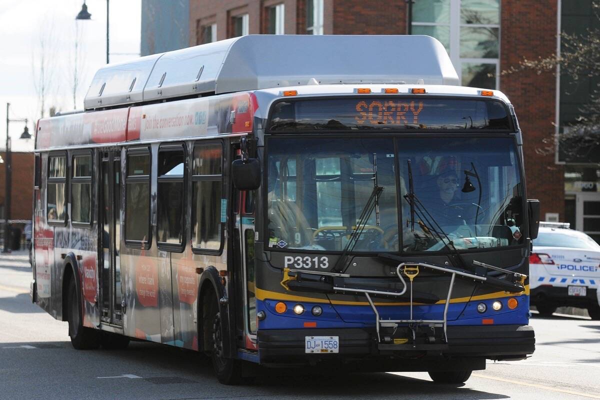 A bus in Maple Ridge. Three new Bus Rapid Transit lines are moving forward, including lines in Surrey-White Rock and Langley-Maple Ridge, TransLink announced Thursday, Nov. 16. (Black Press Media files)