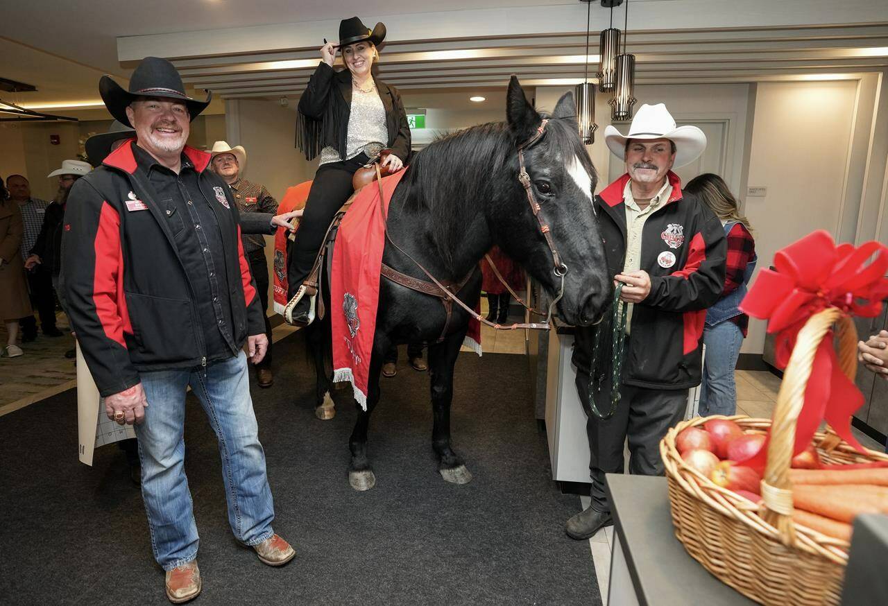 Diane Wensel rides Tuffy the horse into the lobby of a hotel as the annual tradition kicks off Grey Cup festivities ahead of the 110th CFL Grey Cup between the Winnipeg Blue Bombers and Montreal Alouettes in Hamilton, Ont., on Thursday, November 16, 2023. THE CANADIAN PRESS/Nathan Denette