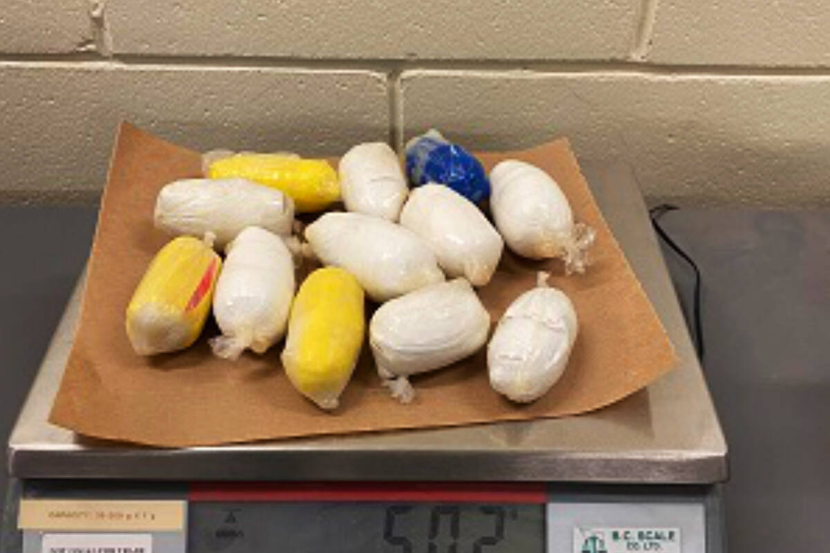 Mission RCMP seized half a kilogram of cocaine stored in a public bathroom ceiling last week. /Mission RCMP Photo