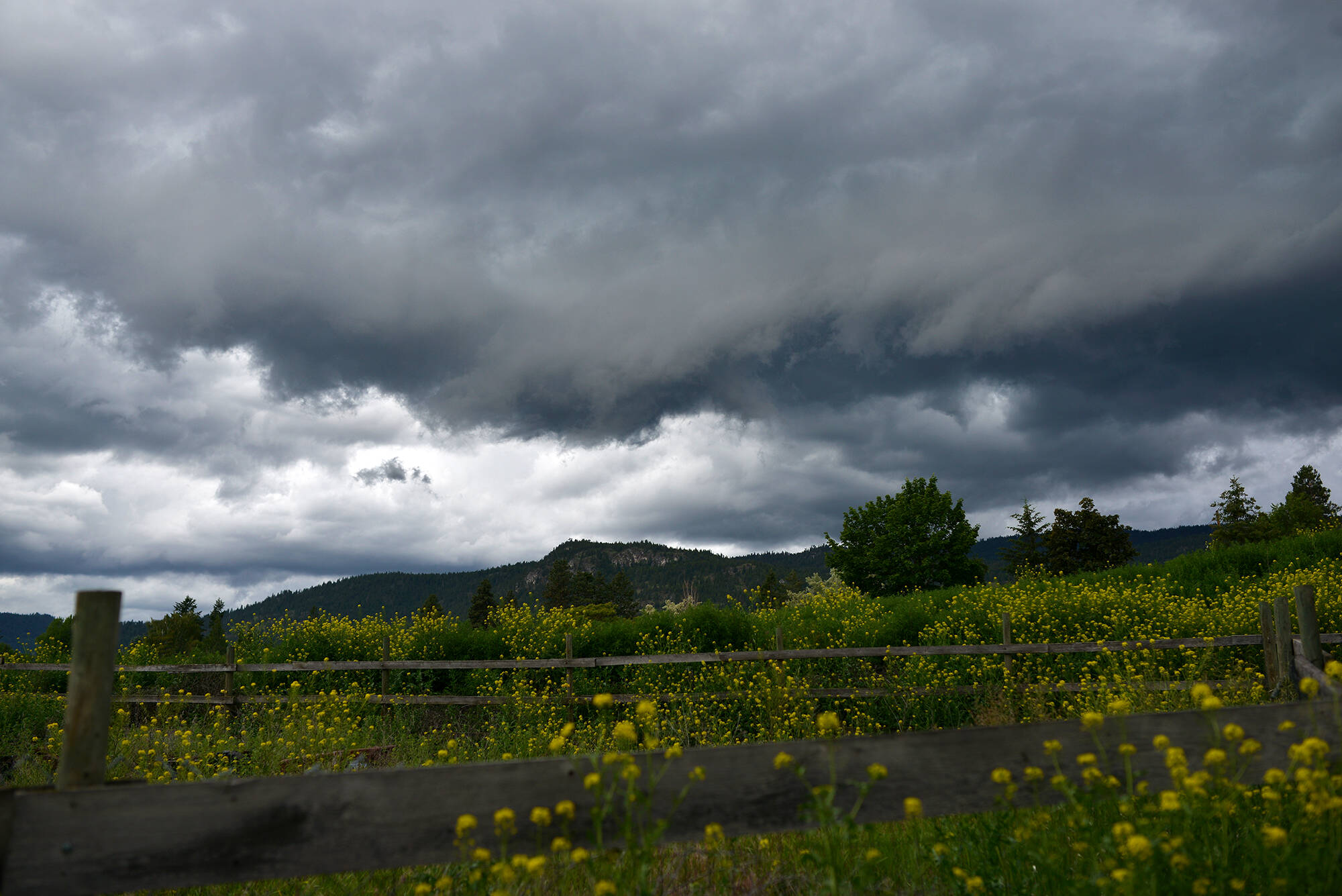 Storm clouds seen in Penticton just before the arrival of a large thunderstorm. (Phil McLachlan - Western News)
Storm clouds seen in Penticton June 12, just before the arrival of a large thunderstorm. (Phil McLachlan - Western News)