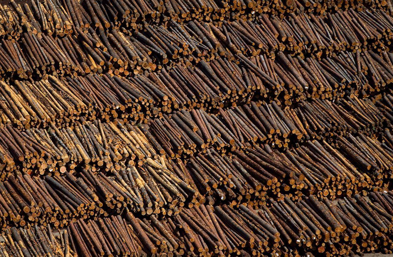British Columbia is moving to reduce the export of raw logs harvested in the province by requiring that certain types of lumber from the Interior undergo manufacturing. Logs are seen in an aerial view stacked at the Interfor sawmill, in Grand Forks, B.C., on May 12, 2018. THE CANADIAN PRESS/Darryl Dyck