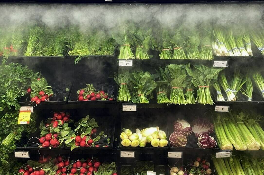 Food prices will keep rising in 2024, though at a slower pace, according to a closely followed food price report from four Canadian universities. Produce at a grocery store in Toronto on June 26. THE CANADIAN PRESS/Graeme Roy