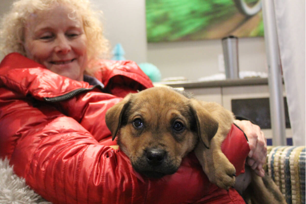 Dog-lover Tina Dyck holds an eight-week-old puppy. (Ella Matte/News Staff)