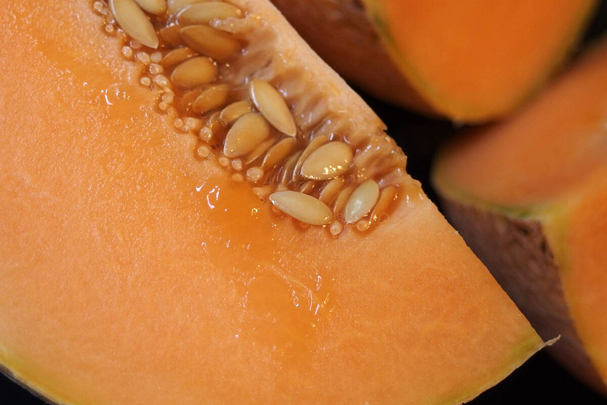 The B.C. Centre for Disease Control is telling people to discard a specific brand of cantaloupes after it was linked to an ongoing salmonella outbreak. There have been six deaths in Canada since the outbreak, and 17 confirmed cases in B.C. since Nov. 15. (Pixabay)