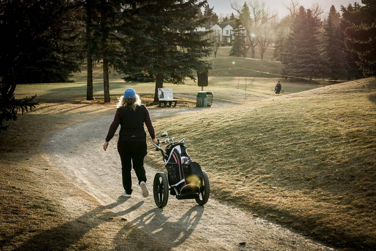 Canada's chief climatologist says if you don't already have it, the song is the only white Christmas you're likely to get this year. A golfer walks a cart path while playing a round at the Shaganappi Point golf course in Calgary, Tuesday, Dec. 5, 2023. THE CANADIAN PRESS/Jeff McIntosh