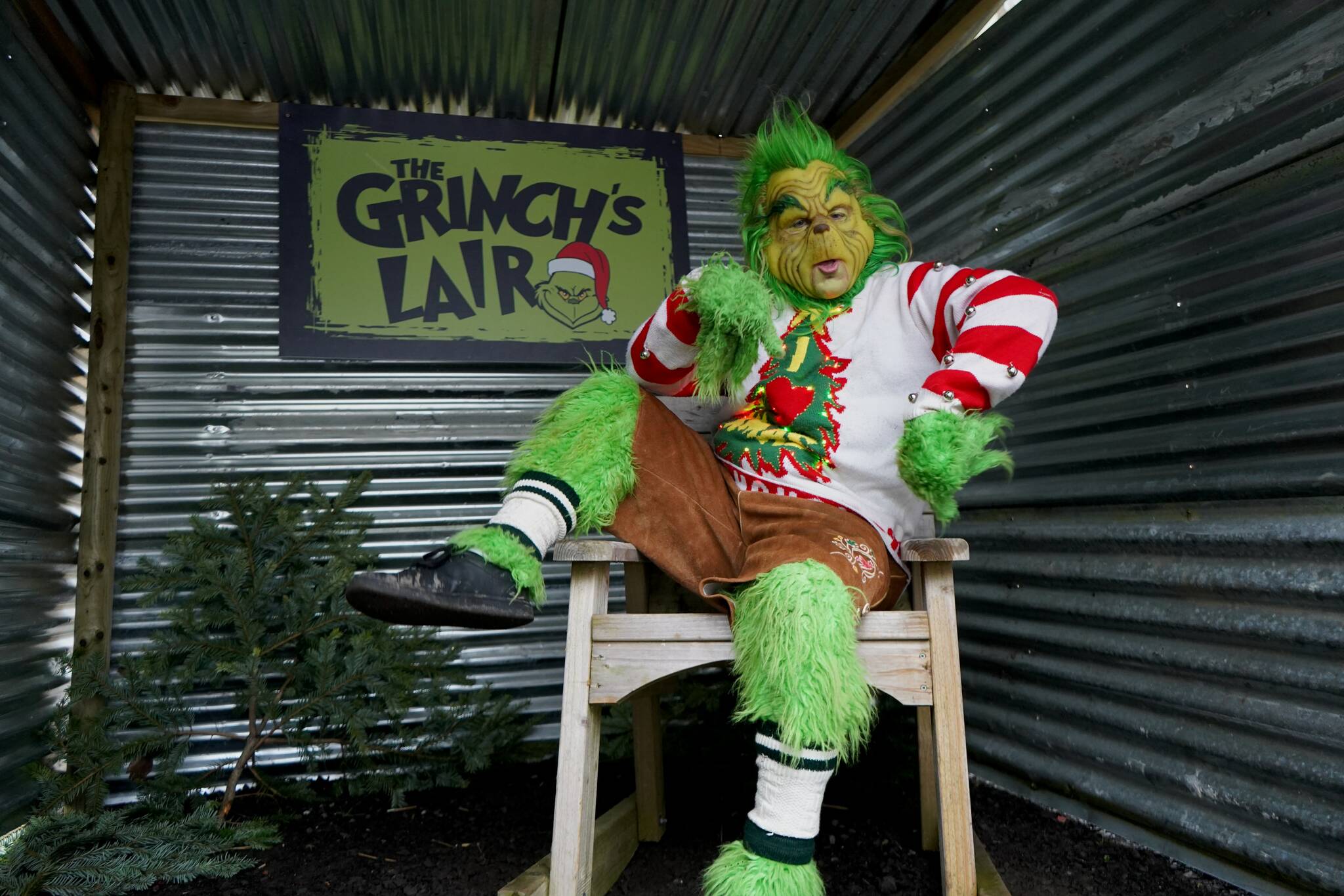 Beware the Christmas Grinch and other skammers. Photo: Geoffrey Moffett/Unsplash