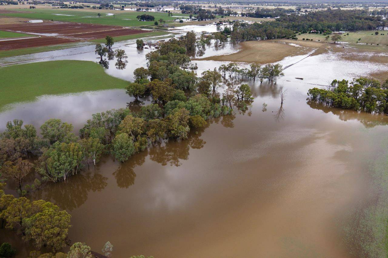 Farm land is flooded near Bendigo, Australia, Monday, Jan. 8, 2024. Hundreds of people were ordered to evacuate their homes after parts of Victoria state were inundated by flooding as wild weather continues to batter Australia’s east coast. (Diego Fedele/AAP Image via AP)