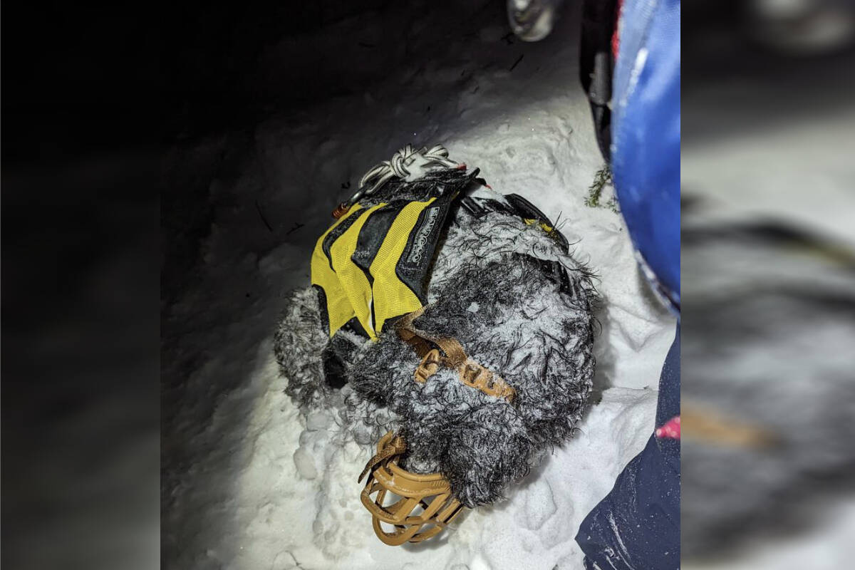 Two teens and a dog were rescued off a snowy trail near Eagle Mountain on Saturday night (Jan. 6) after they lost the path and fot lost in deep snow. (North Shore Rescue/Facebook)