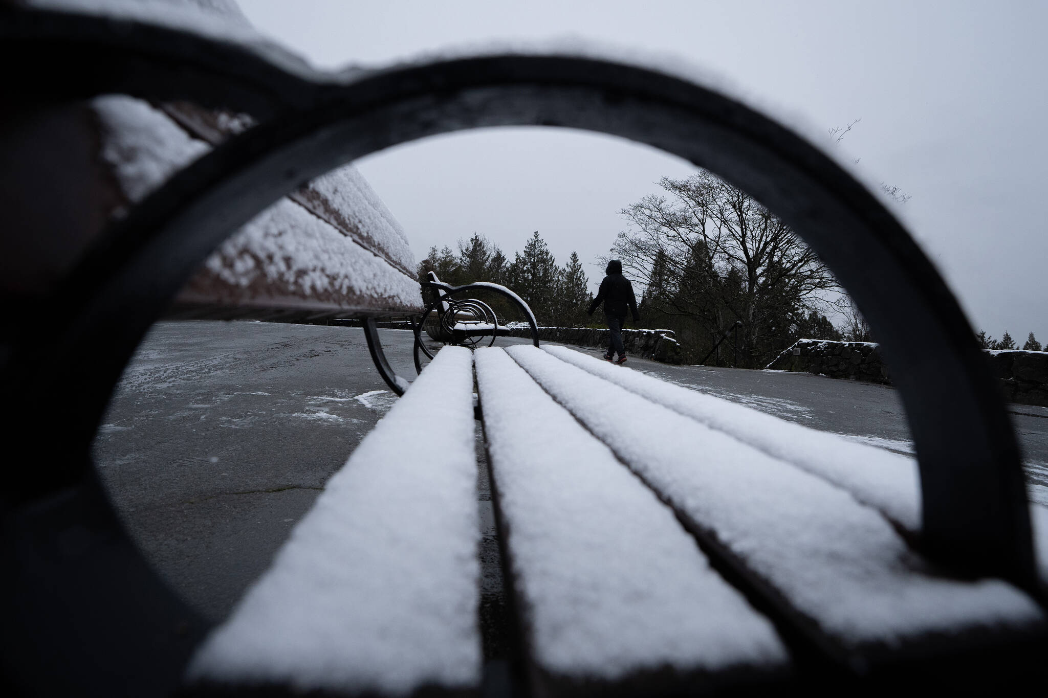 A person walks during a light snow at Queen Elizabeth Park in Vancouver, B.C., Monday, Jan. 8, 2024. Areas in and surrounding Vancouver received the first snow of the season. THE CANADIAN PRESS/Ethan Cairns