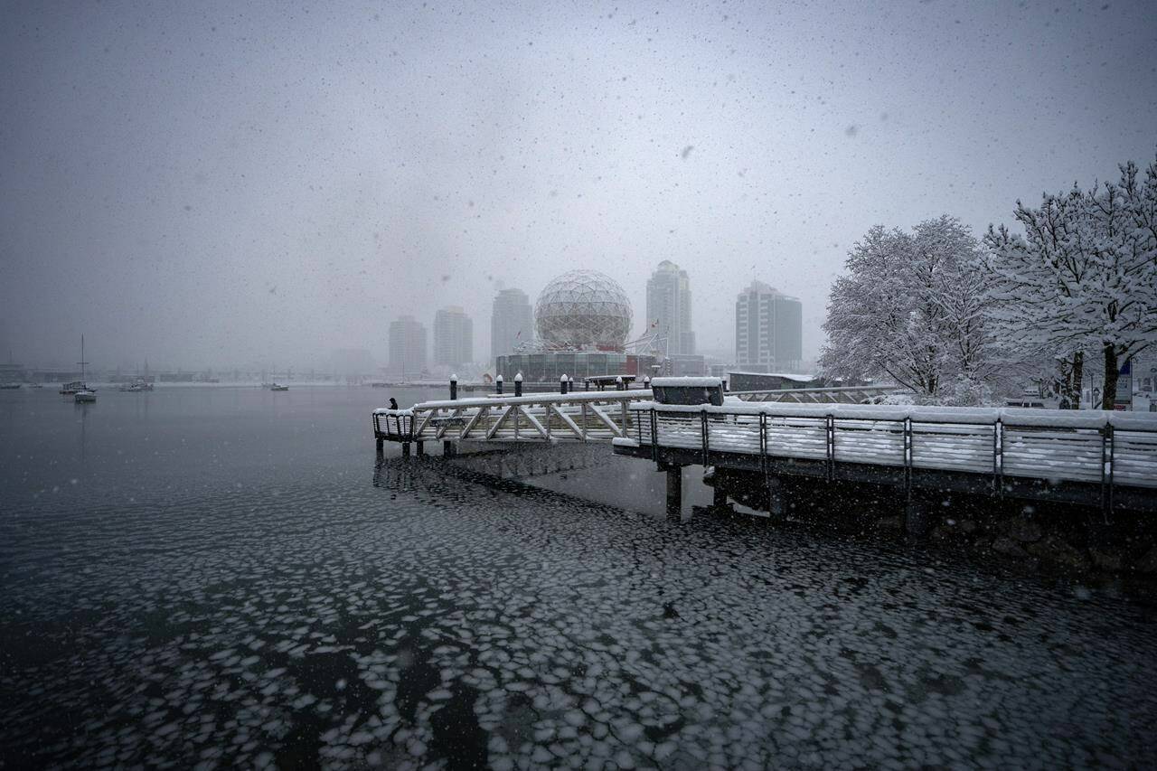 A person looks out to a semi frozen False Creek during a snowstorm in Vancouver Wednesday, Jan. 17, 2024. Snow is expected to turn into freezing rain today in parts of Metro Vancouver and the Fraser Valley. THE CANADIAN PRESS/Ethan Cairns