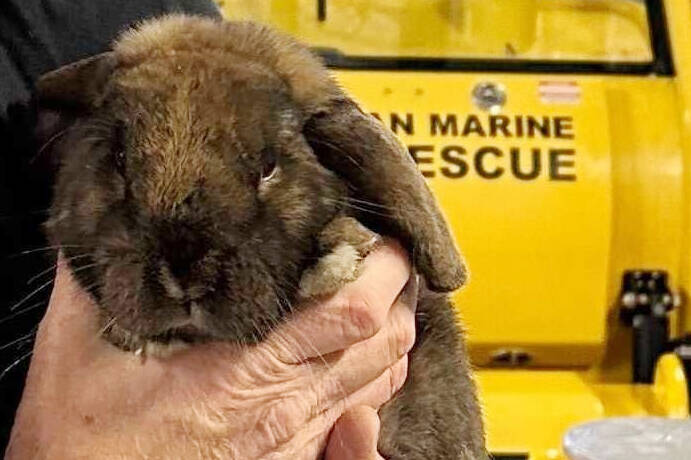 Bunbun in the safe hands of a Royal Canadian Marine Search and Rescue volunteer. (RCMSAR - Facebook)
