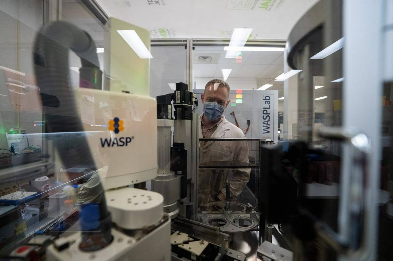 Dr. Marc Romney, Head of Medical Microbiology and Virology watches a new AI-assisted machine to help the microbiology lab at St. Paul’s Hospital in Vancouver on Tuesday, January 23, 2024. St. Paul’s has installed a new $1 million automated AI-based lab system which uses artificial intelligence and robots for repetitive tasks so humans can do the complex work. THE CANADIAN PRESS/Ethan Cairns